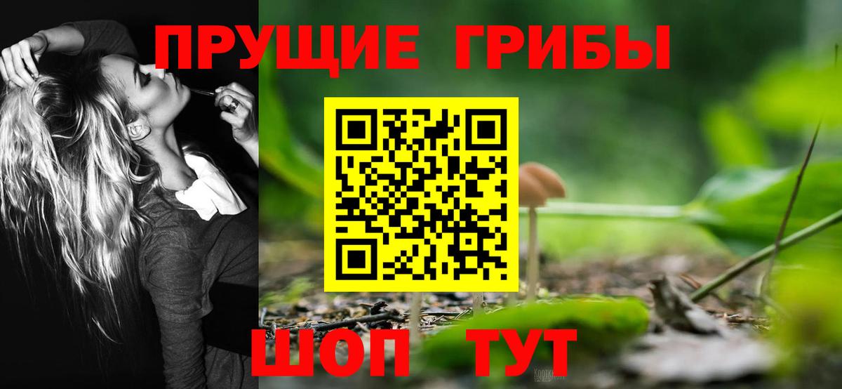 Лениногорск  Псилоцибиновые грибы MAGIC MUSHROOMS  Галлюциногенные грибы ЛСД  Вход с VPN 